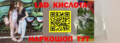 индика Заводоуковск