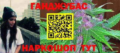 индика Заводоуковск
