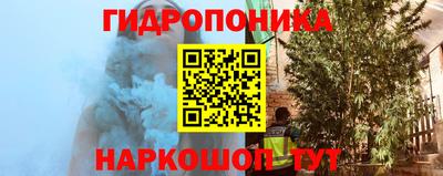индика Заводоуковск