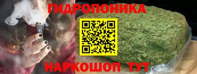 индика Заводоуковск
