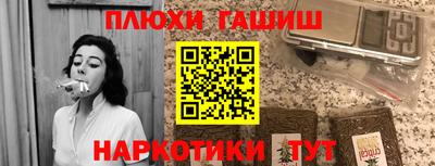 индика Заводоуковск