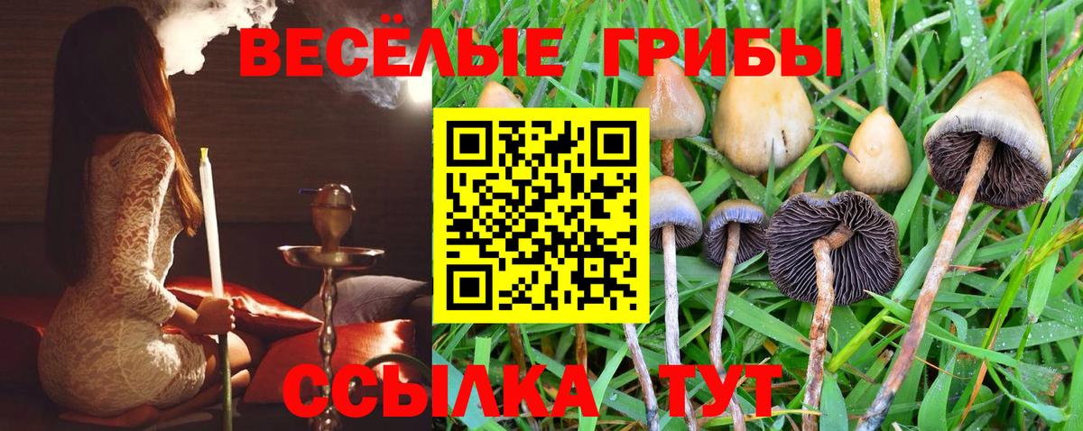 Луховицы  Псилоцибиновые грибы ЛСД  Псилоцибиновые грибы ЛСД  Вход с VPN 