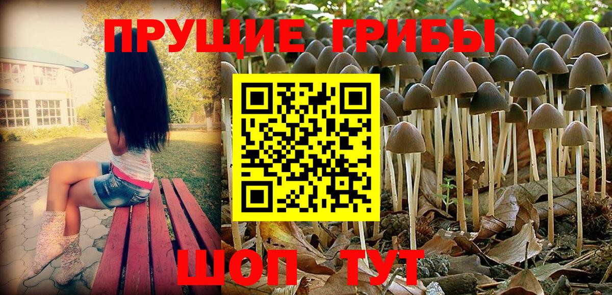 Галлюциногенные грибы мухоморы Луховицы
